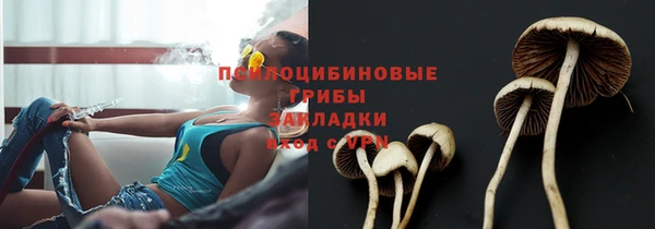 гидра Абдулино