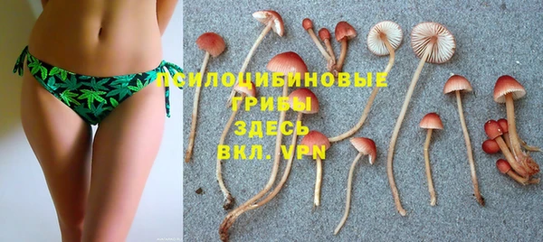 гидра Абдулино